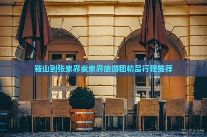 鞍山去张家界袁家界大型旅游团