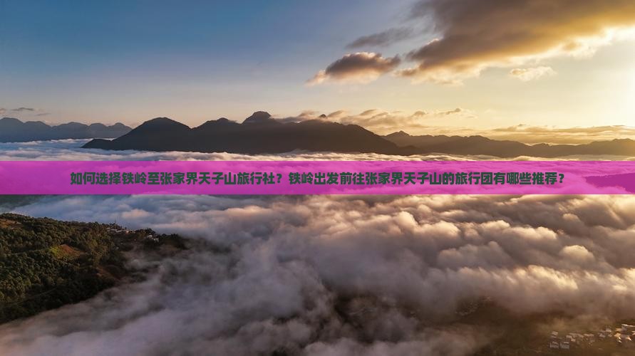 铁岭到张家界天子山旅行社