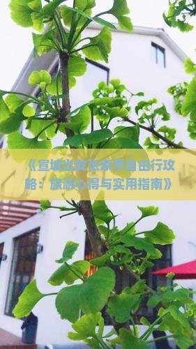 宣城到张家界个人游