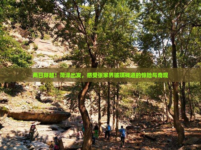 菏泽到张家界玻璃栈道二日游