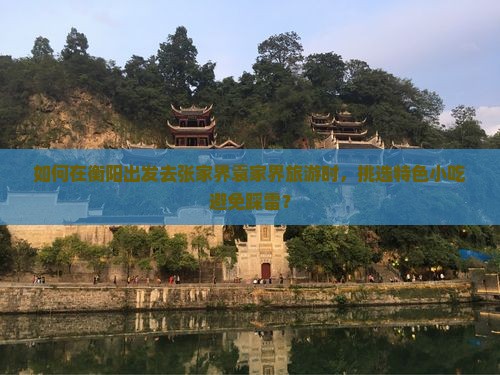 衡阳去张家界袁家界旅游小吃