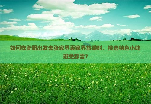 衡阳去张家界袁家界旅游小吃