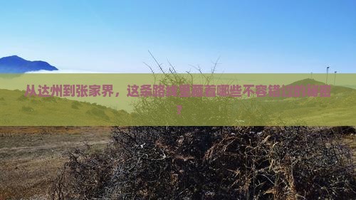 达州到张家界必去地