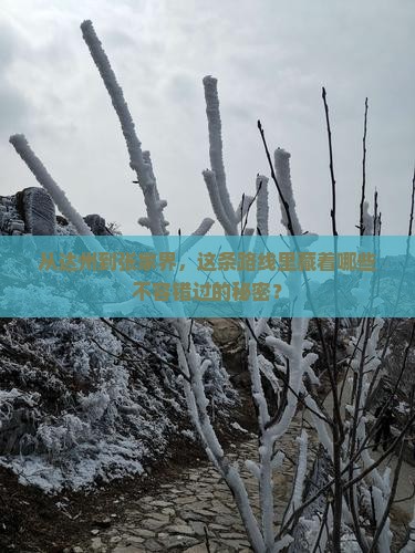 达州到张家界必去地