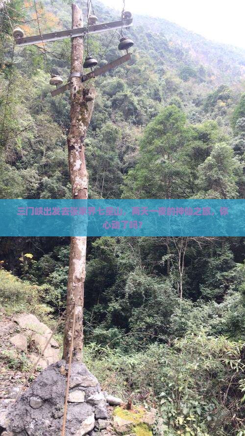 三门峡去张家界七星山二日游