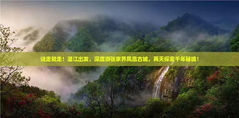 湛江去张家界凤凰古城二日游