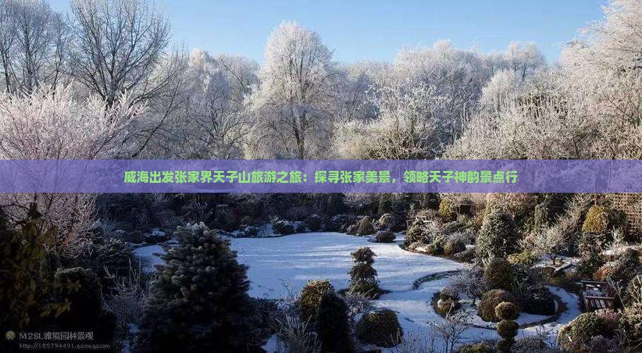 威海到张家界天子山旅行社
