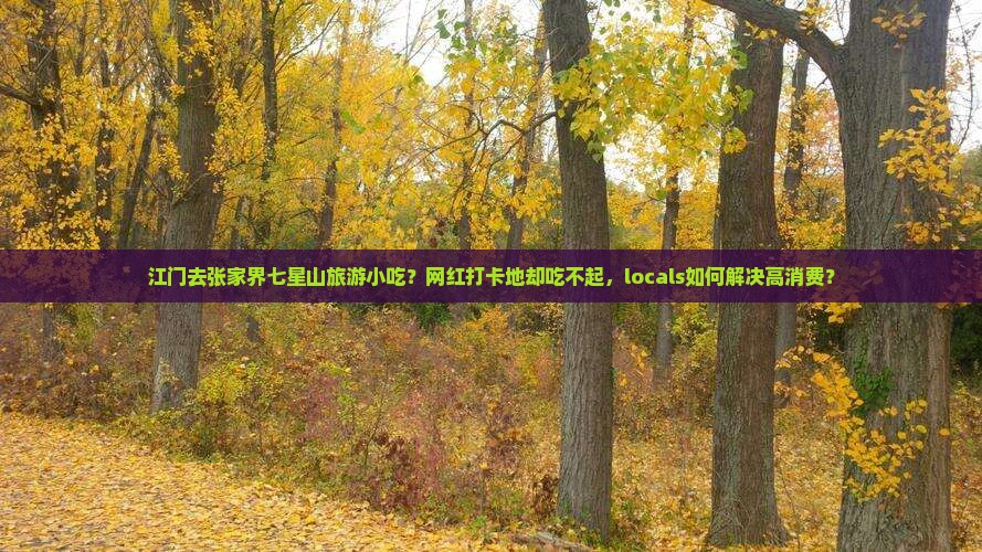 江门去张家界七星山旅游小吃