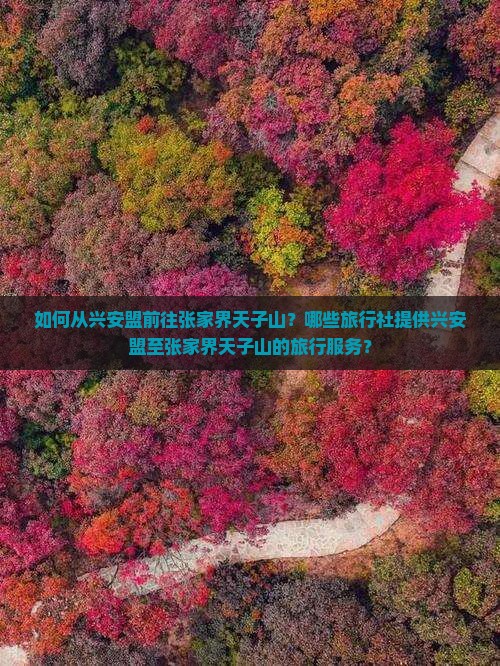 兴安盟去张家界天子山旅行社