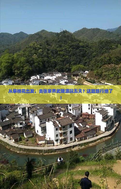 攀枝花去张家界武陵源五日游