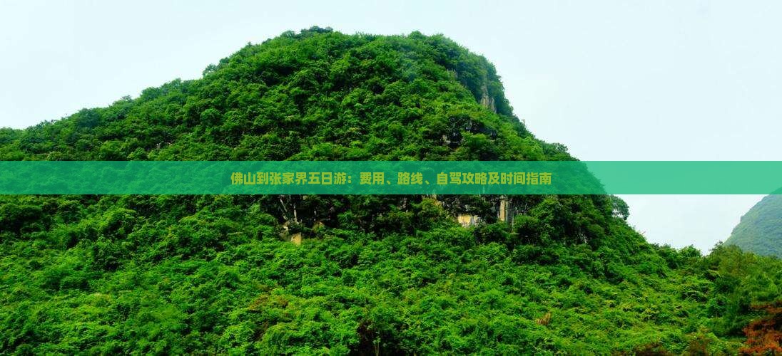 佛山到张家界五日游
