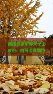 商洛去张家界天子山攻略