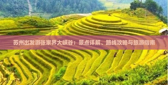 苏州去张家界大峡谷攻略