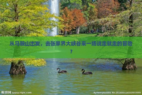 马鞍山去张家界大峡谷自由行