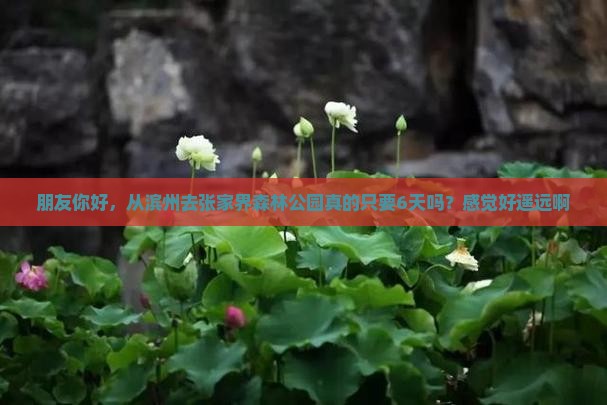 滨州到张家界森林公园六日游