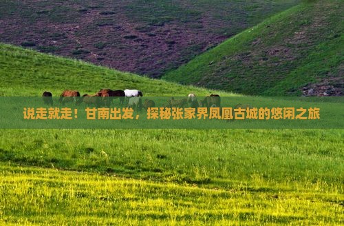 甘南去张家界凤凰古城自由行