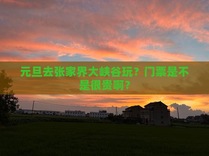 元旦到张家界大峡谷门票