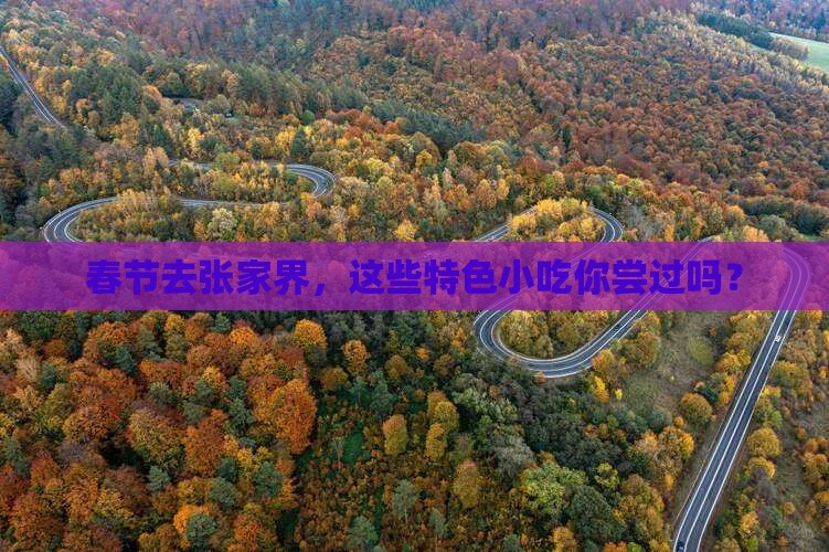 春节到张家界旅游小吃