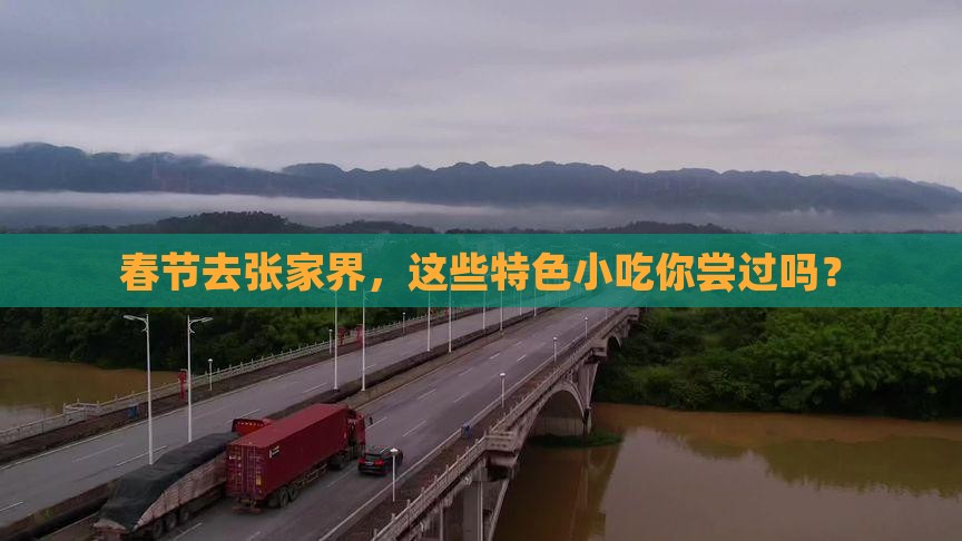 春节到张家界旅游小吃