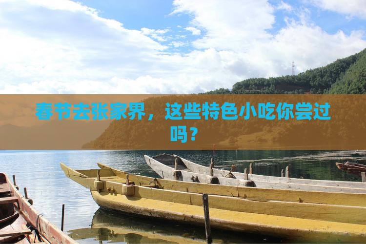 春节到张家界旅游小吃