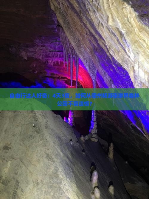 衢州到张家界森林公园旅游