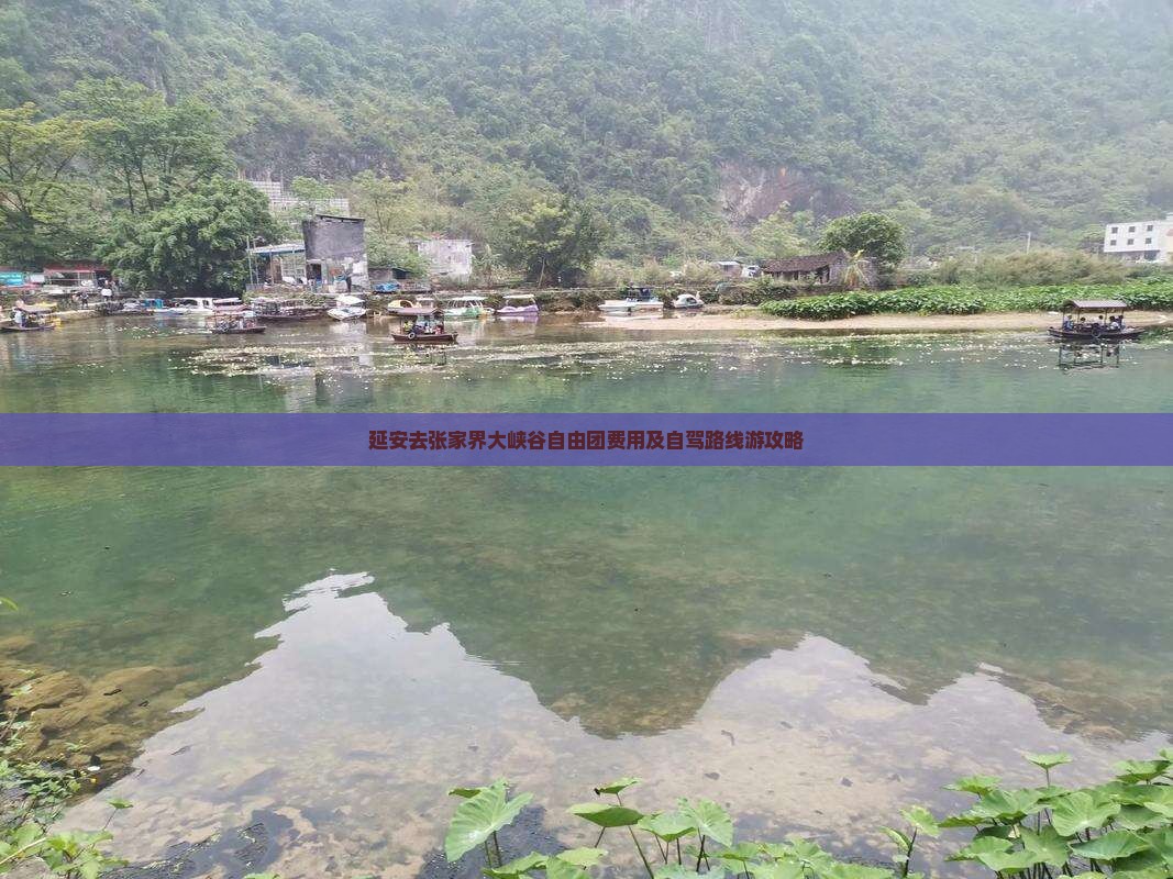 延安去张家界大峡谷自由团 延安去张家界大峡谷自由团