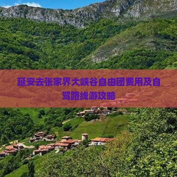 延安去张家界大峡谷自由团 延安去张家界大峡谷自由团