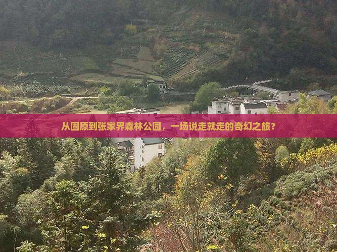 固原去张家界森林公园大型旅游团 固原去张家界森林公园大型旅游团