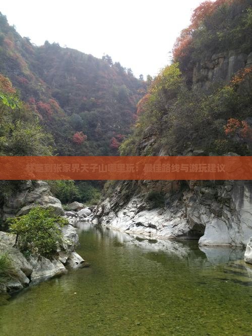 林芝到张家界天子山哪里玩