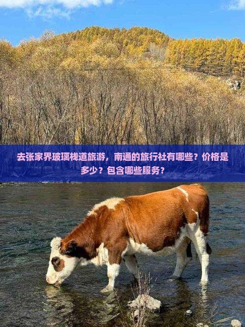 南通到张家界玻璃栈道旅行社