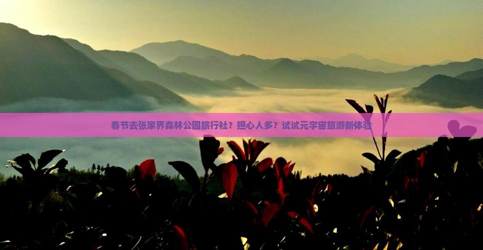 春节去张家界森林公园旅行社