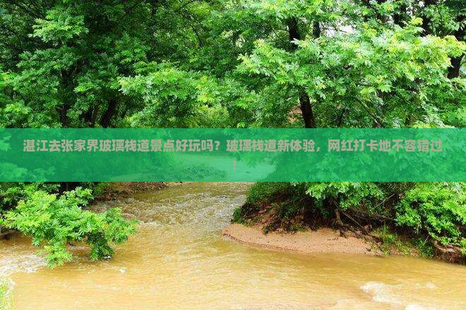 湛江去张家界玻璃栈道景点