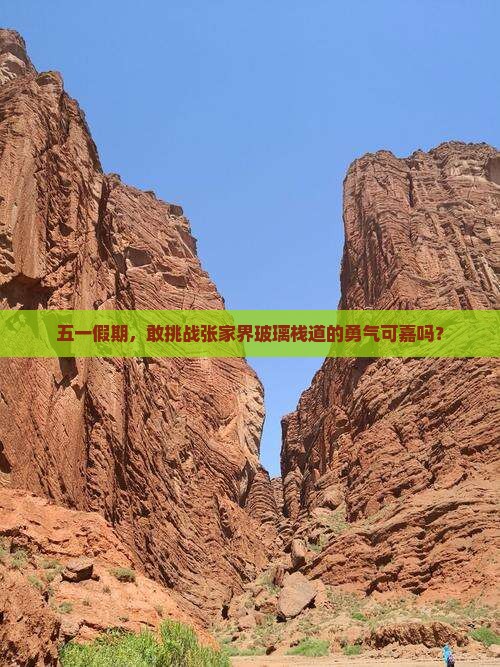 劳动节去张家界玻璃栈道景点