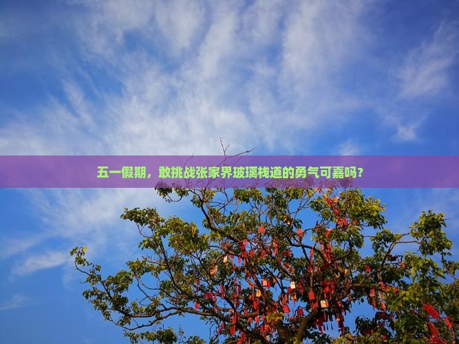 劳动节去张家界玻璃栈道景点