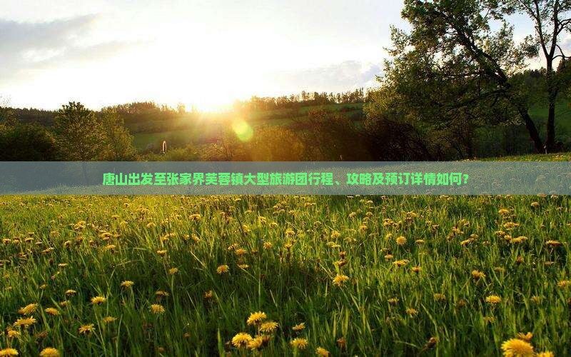唐山到张家界芙蓉镇大型旅游团