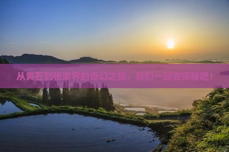 黄石去张家界森林公园团体旅游