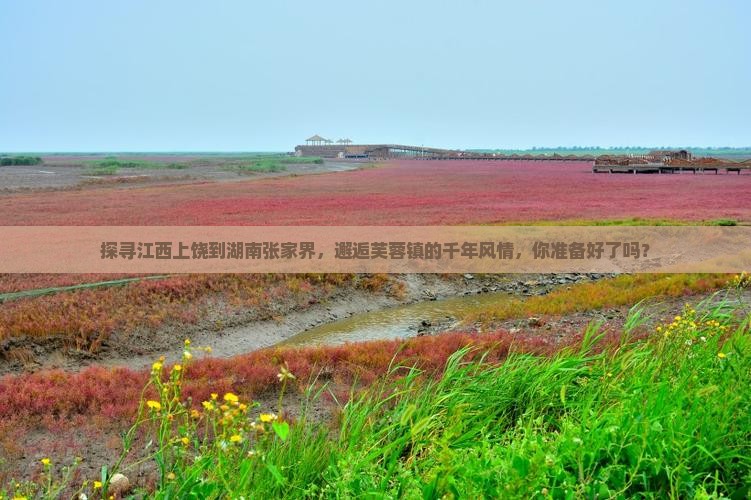 上饶去张家界芙蓉镇旅游