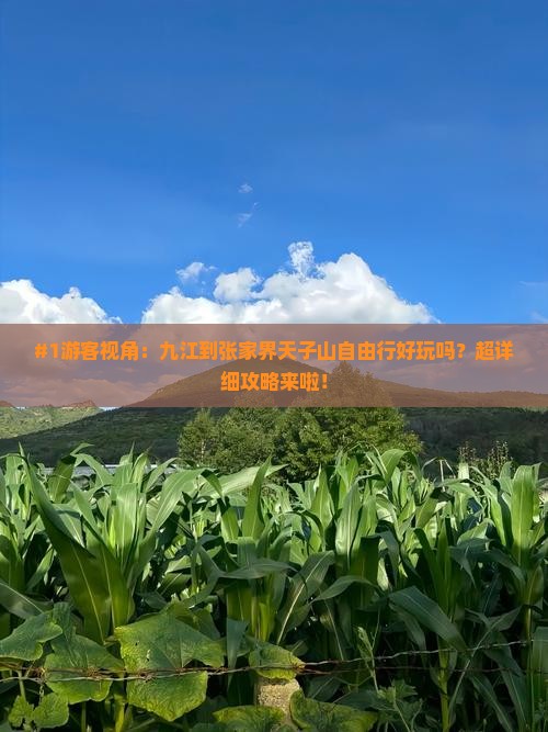 九江到张家界天子山自由行