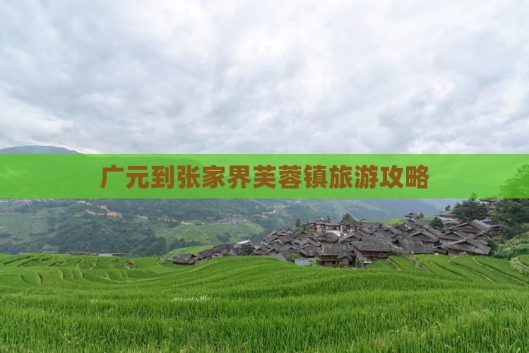 广元到张家界芙蓉镇自由行