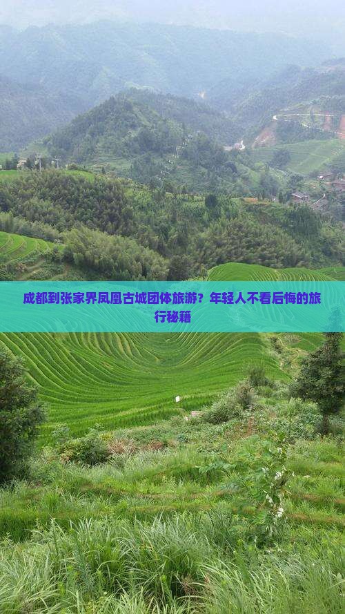 成都去张家界凤凰古城团体旅游