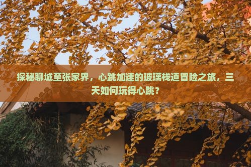 聊城到张家界玻璃栈道三日游