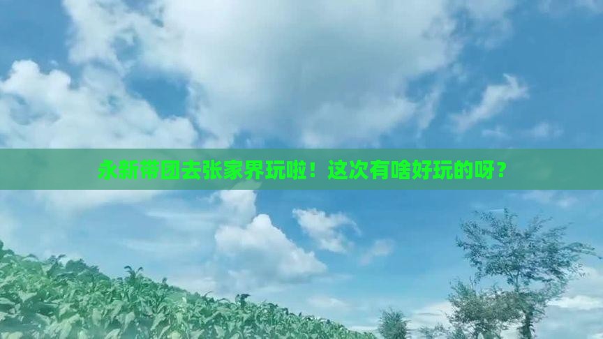 永新去张家界团体旅游