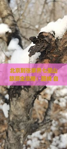 北京到张家界七星山旅游