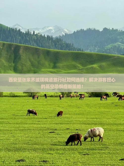 西安到张家界玻璃栈道旅行社