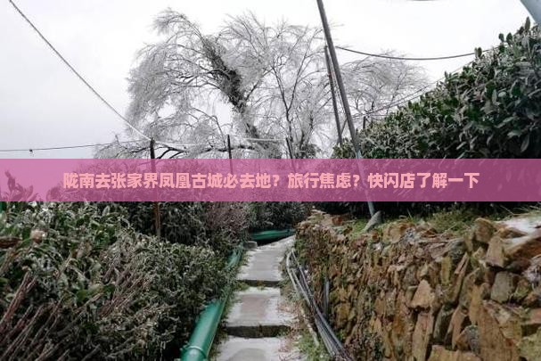 陇南去张家界凤凰古城必去地