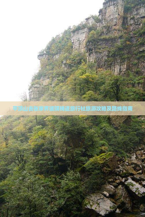 平顶山去张家界玻璃栈道旅行社