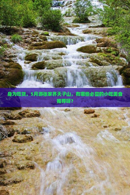 五月去张家界天子山旅游小吃