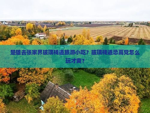 楚雄去张家界玻璃栈道旅游小吃