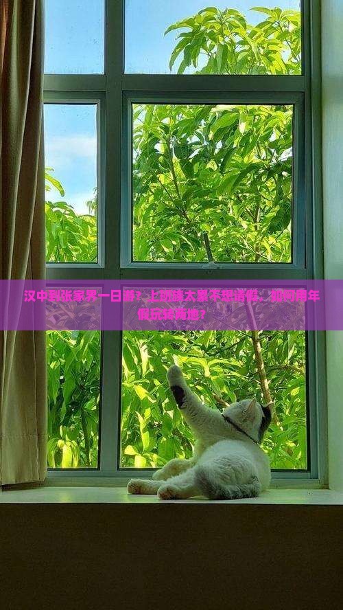 汉中到张家界一日