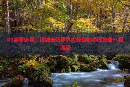 诸城去张家界大峡谷旅游小吃